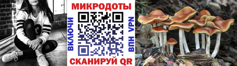 Купить Шахты Галлюциногенные грибы прущие грибы